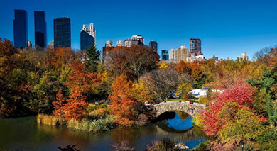 Central Park may seem obvious as the perfect fall walk, but then you can’t beat a classic for sensational leafy views.